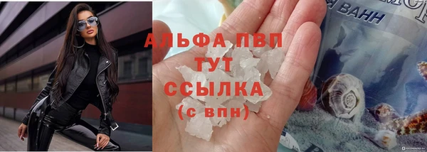 шишки Верхний Тагил